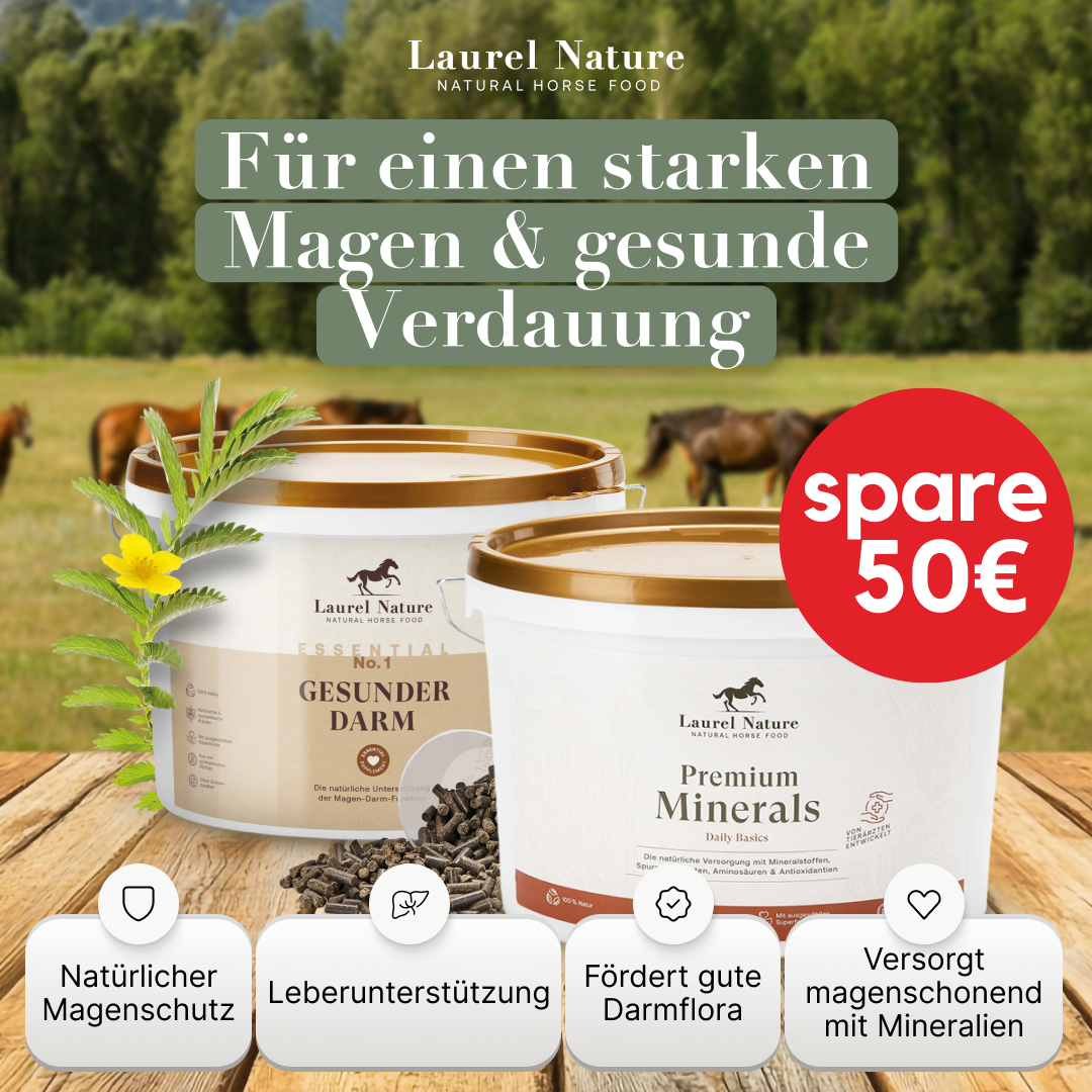 Magen-Darmwohl-Duo groß
