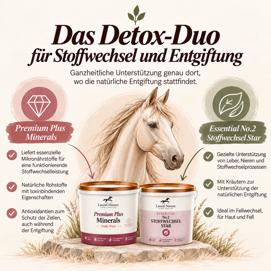 Das Detox-Duo für Stoffwechsel und Entgiftung