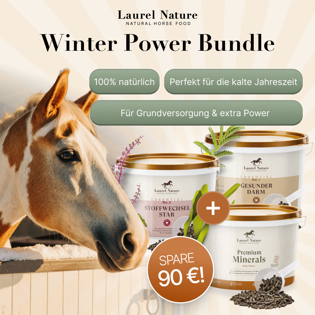Winter-Power-Bundle