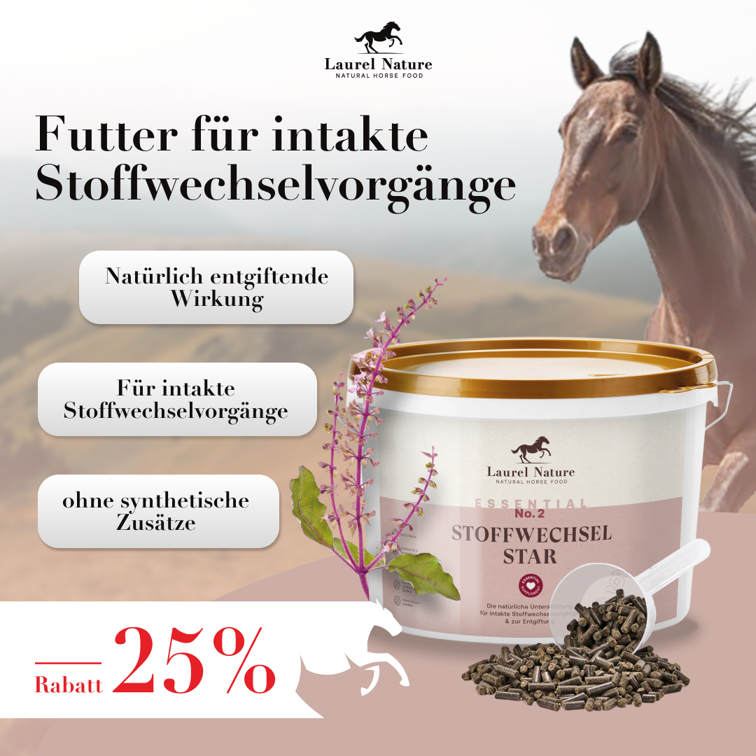 Essential No. 2 Stoffwechsel Star