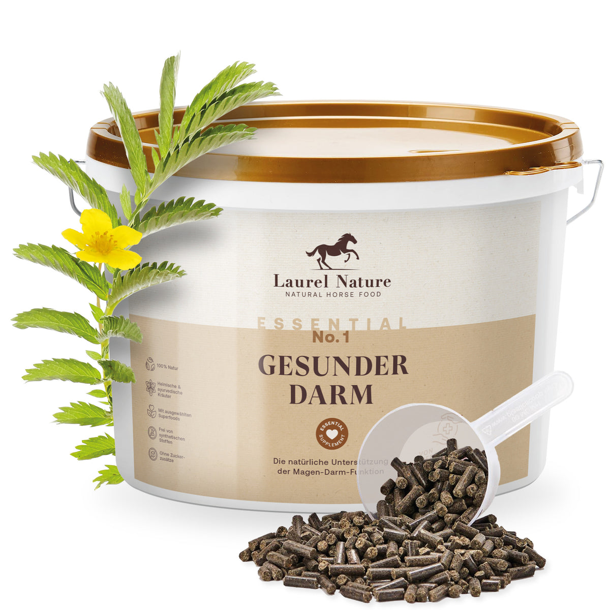 Essential No. 1 Gesunder Darm