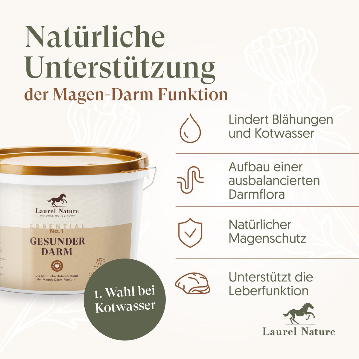 Essential No. 1 Gesunder Darm