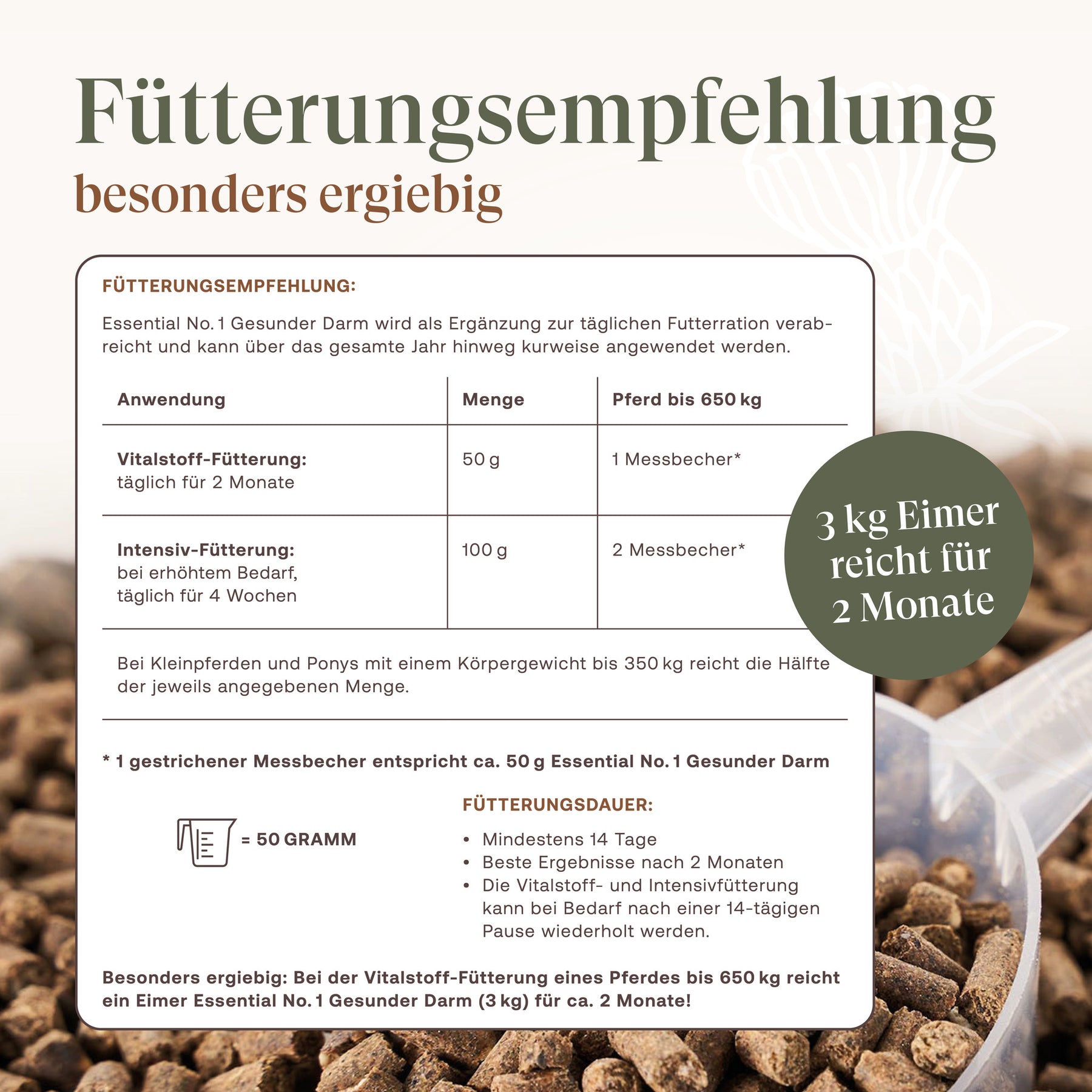 Essential No. 1 Gesunder Darm