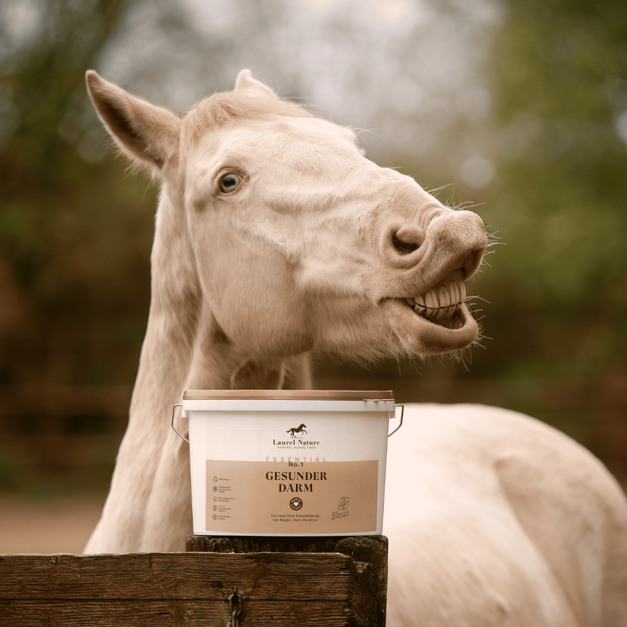 Bewährt. Natürlich. Für Magenpferde entwickelt.