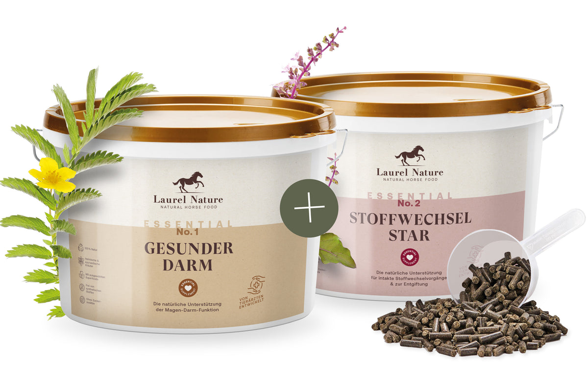 Gesundheitsbooster-Duo 3kg