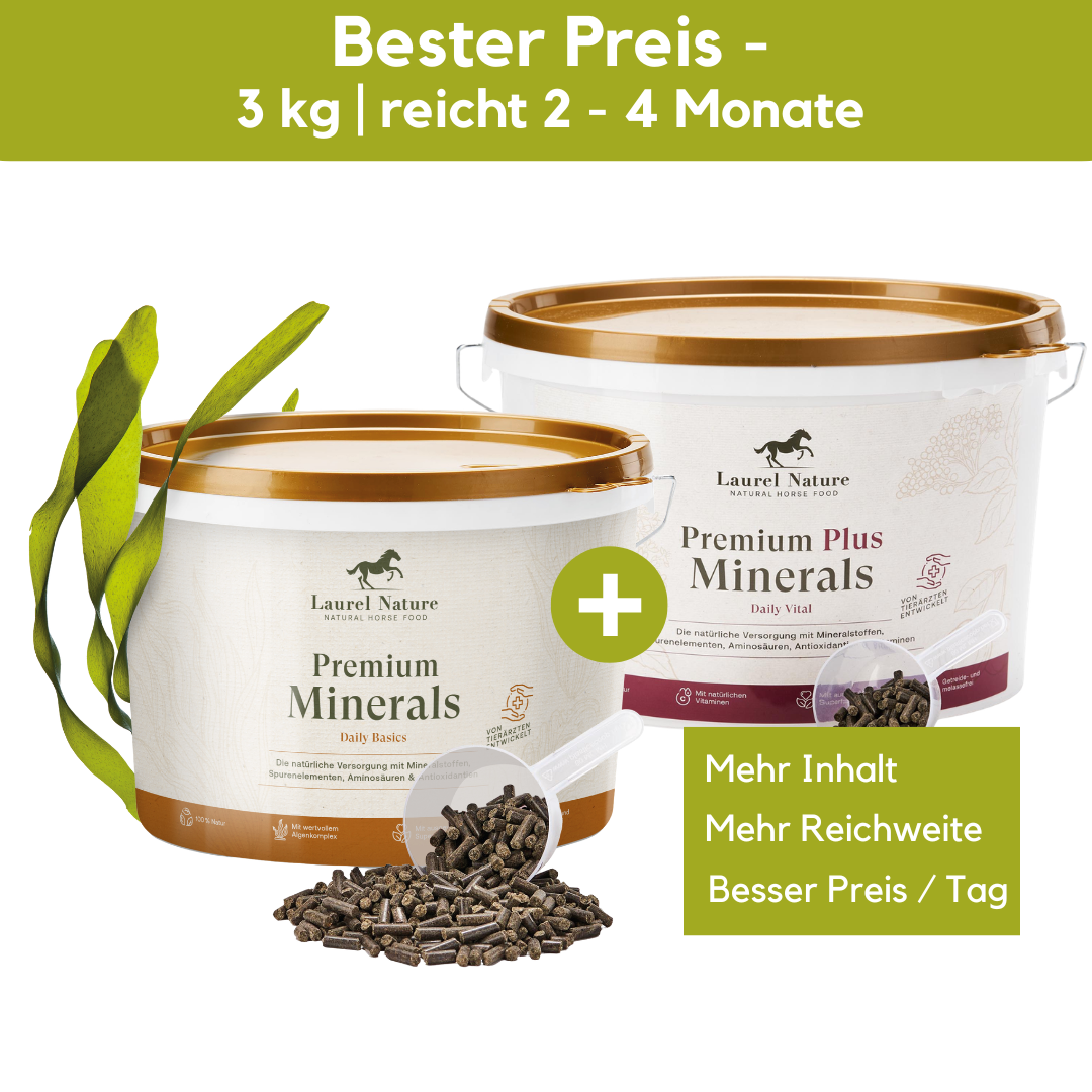 Mineral-Duo (Eimer 3 kg)