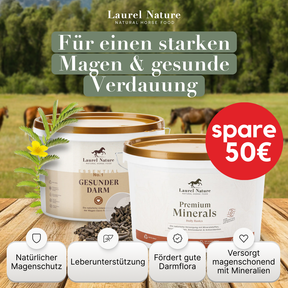 Magen-Darmwohl-Duo groß