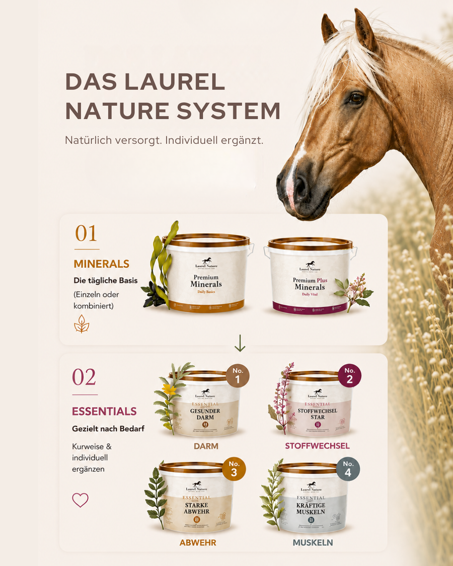 Das Laurel Nature System — so einfach funktioniert echte Pferdegesundheit.