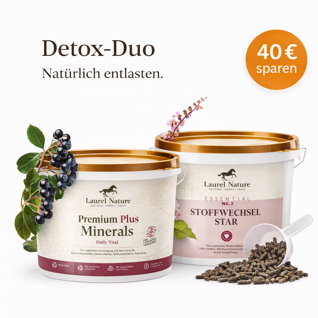 Detox-Duo