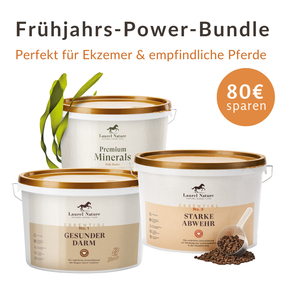 Frühjahrs-Power-Bundle