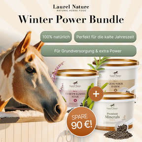 Winter-Power-Bundle
