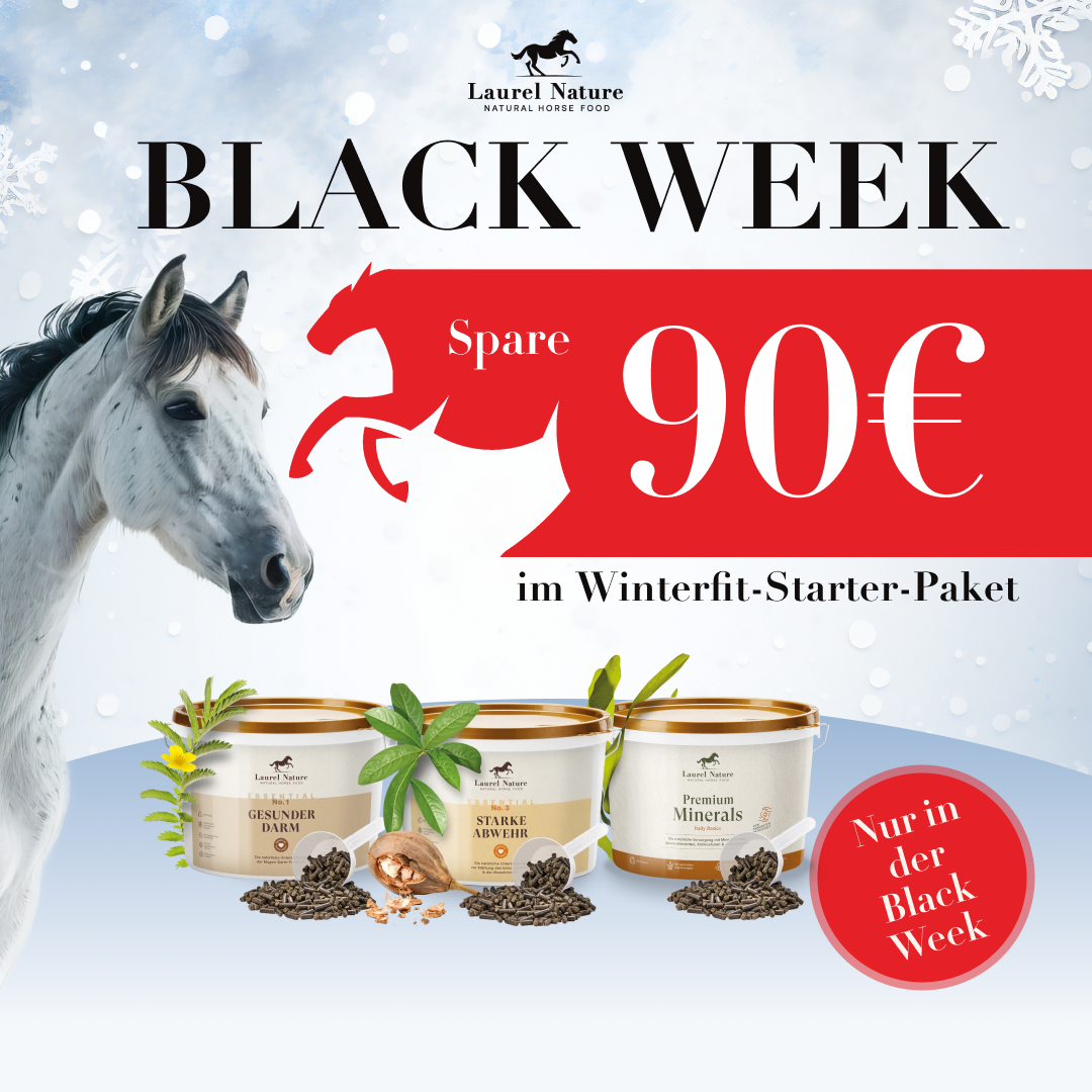 Winterfit Starter Paket -40%