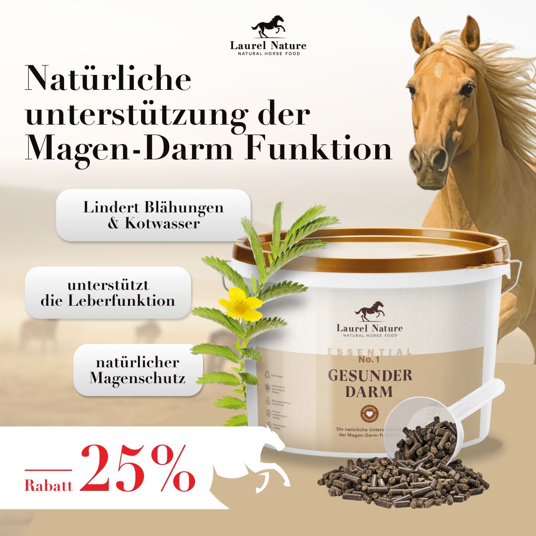 Essential No. 1 Gesunder Darm