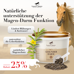 Essential No. 1 Gesunder Darm