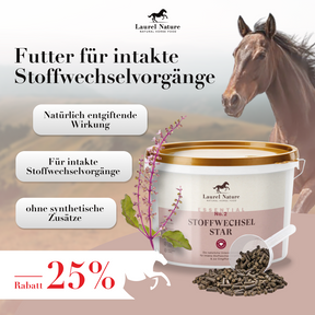 Essential No. 2 Stoffwechsel Star