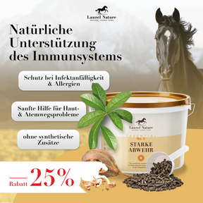 Essential No. 3 Starke Abwehr