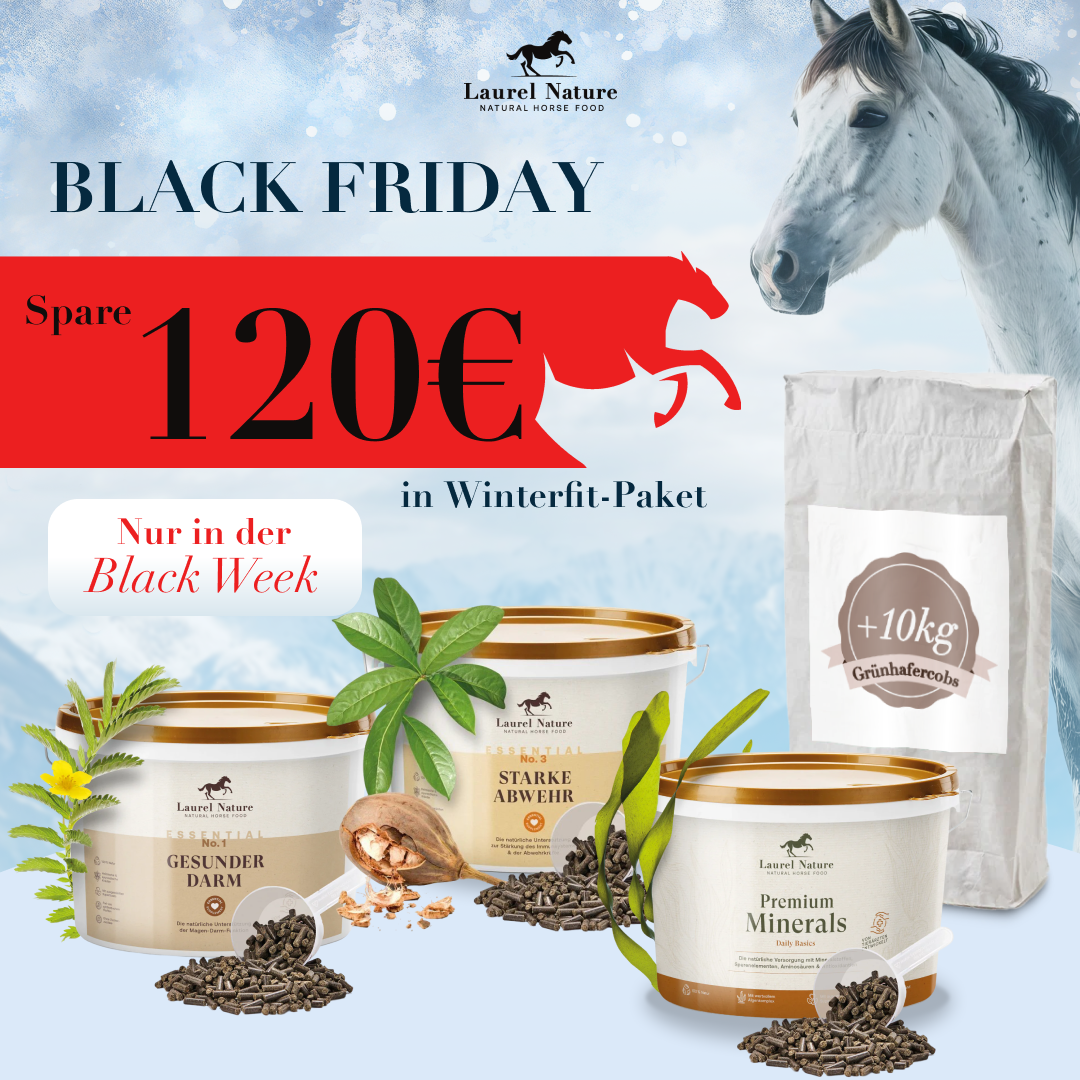 Großes Winterfit Paket