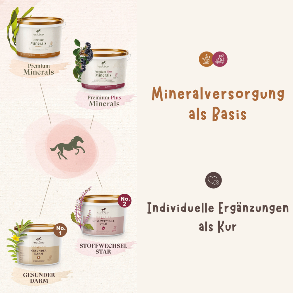 Das Laurel Nature System für Magenpferde