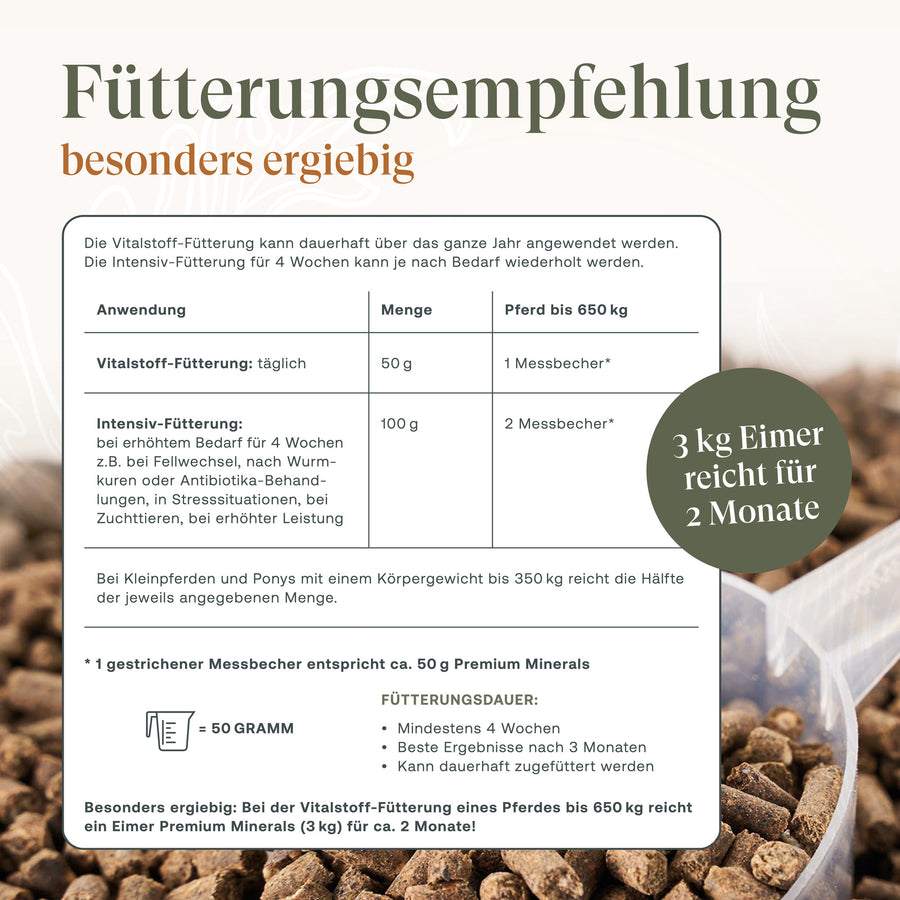 Täglich geliebt — von über 13.000 Pferden.