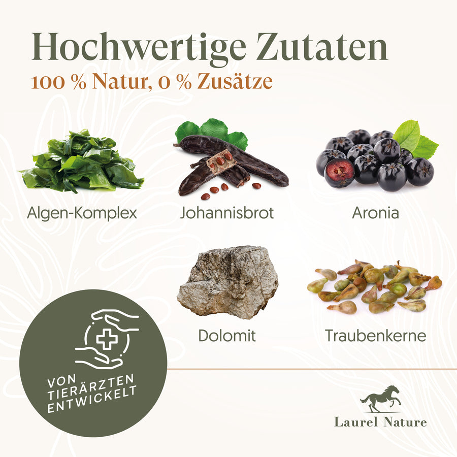 Die Inhaltsstoffe