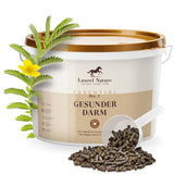 Essential No. 1 Gesunder Darm