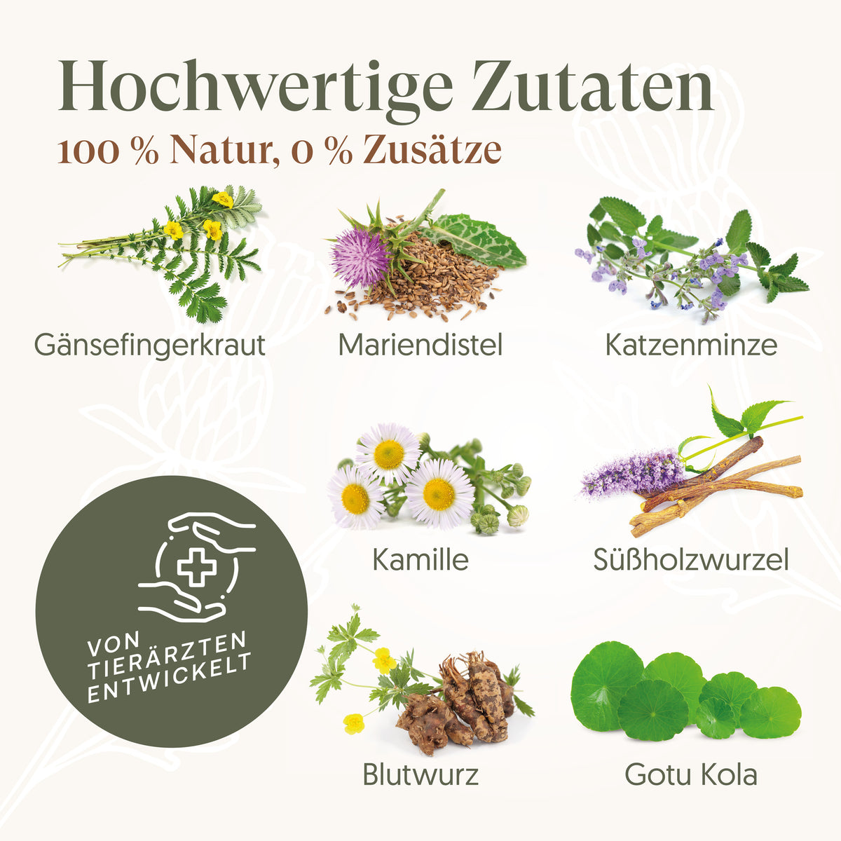 Magen-Ruhe-Trio