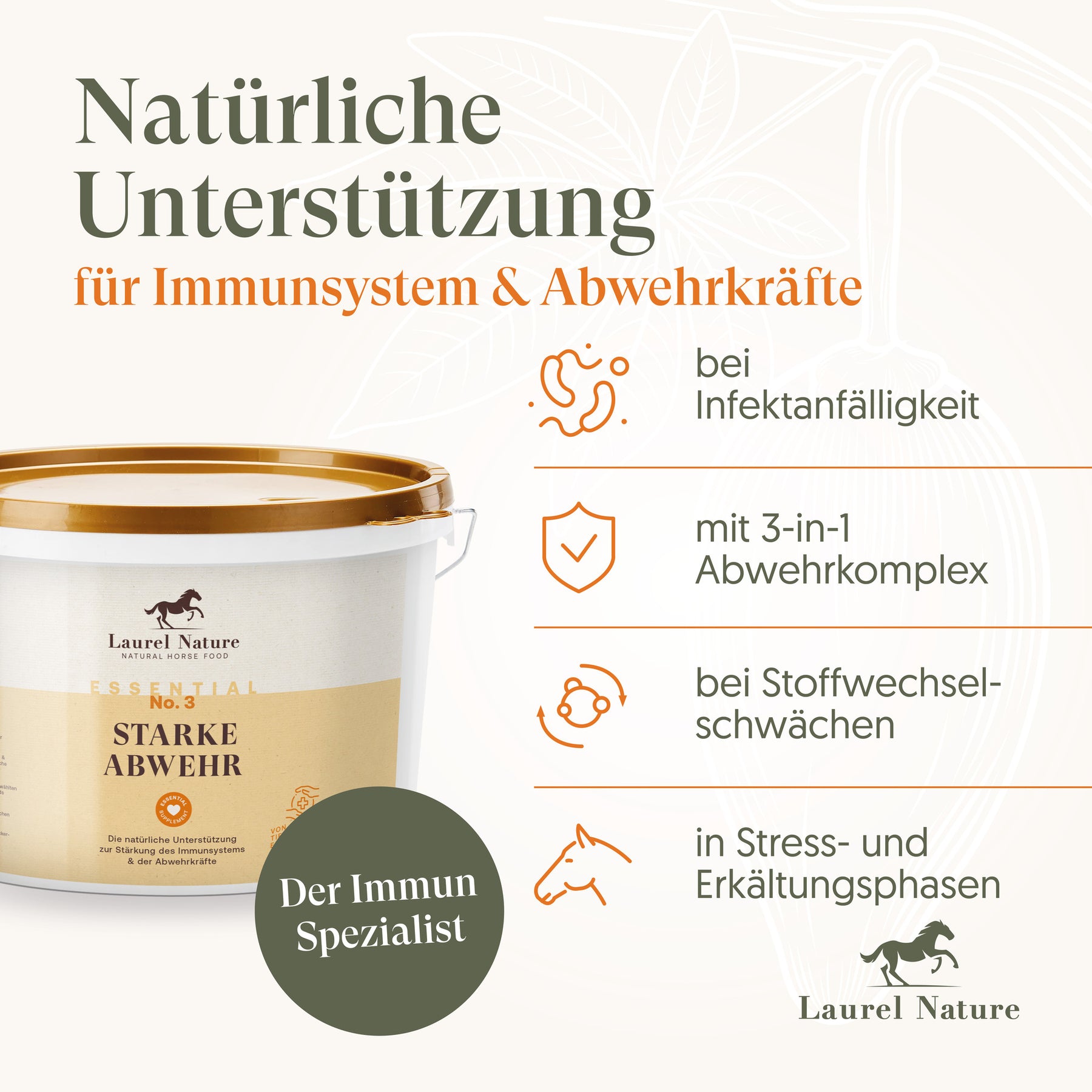 Winterfit Starter Paket -40%