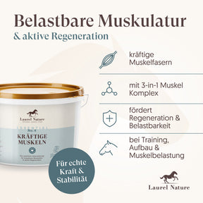 Essential No.4 Kräftige Muskeln + 3er Set Futterbox gratis