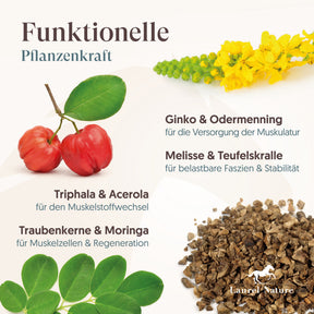 Essential No.4 Kräftige Muskeln + 3er Set Futterbox gratis