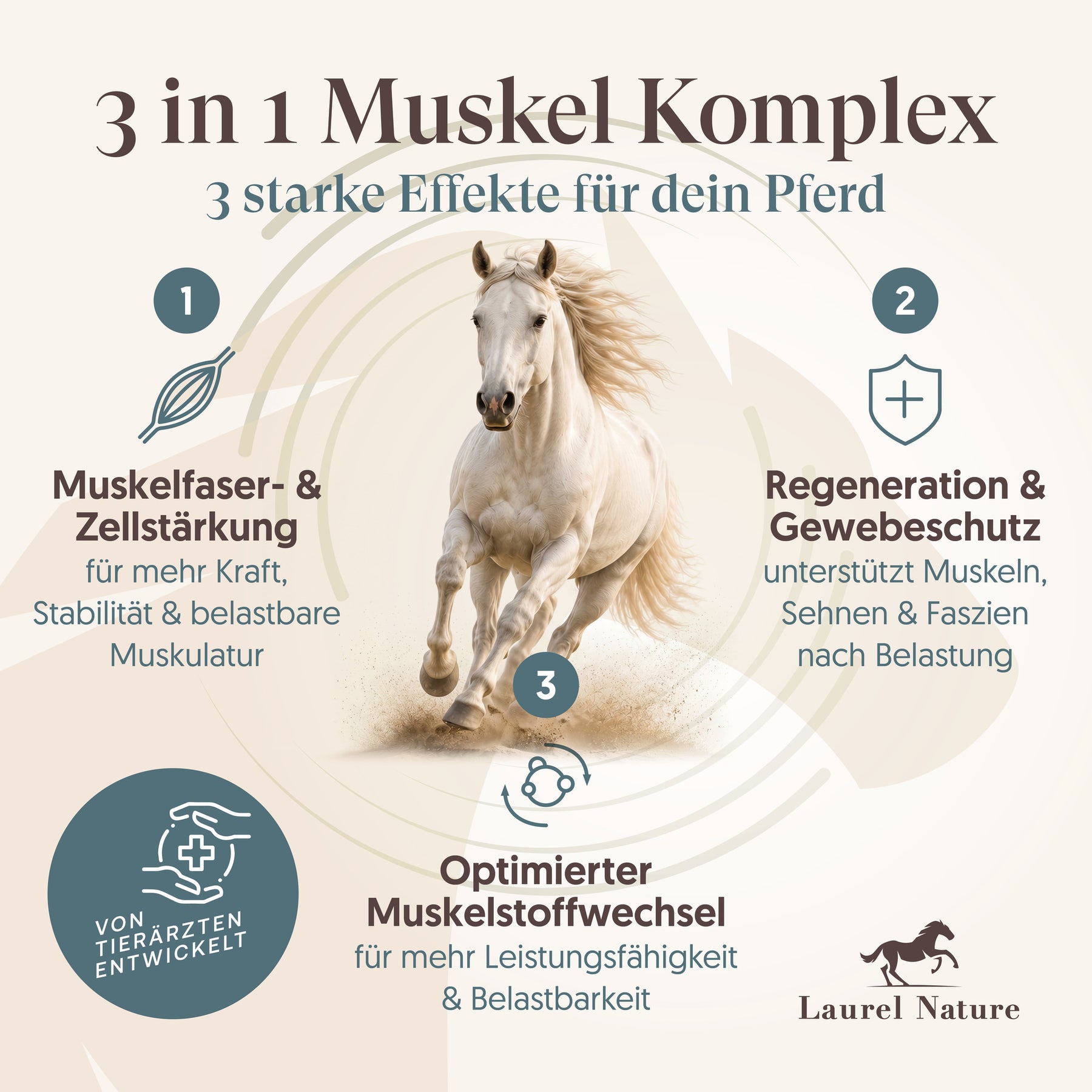 Essential No.4 Kräftige Muskeln + 3er Set Futterbox gratis