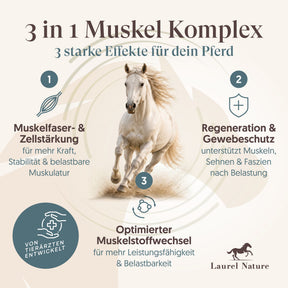 Essential No.4 Kräftige Muskeln + 3er Set Futterbox gratis