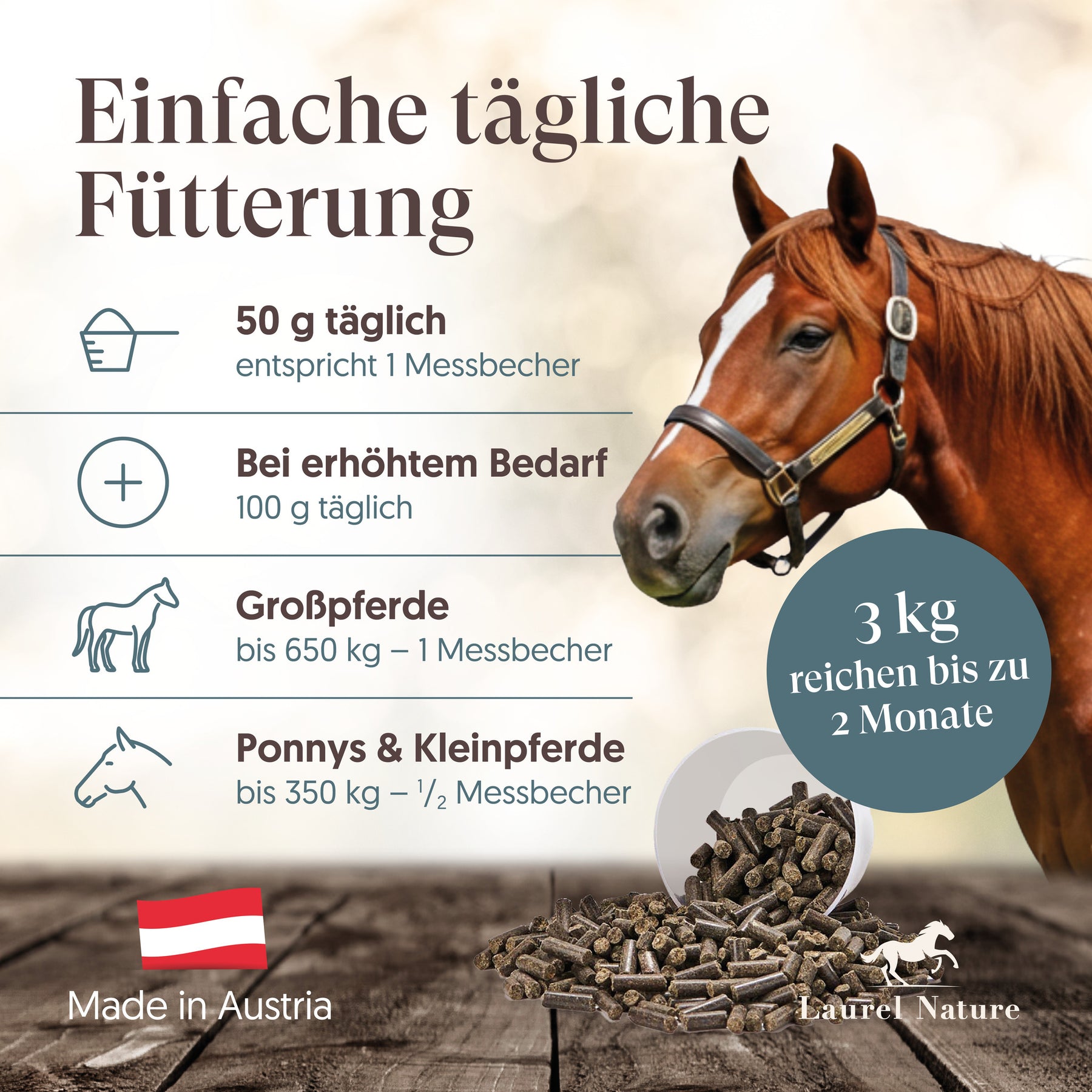 Essential No.4 Kräftige Muskeln + 3er Set Futterbox gratis