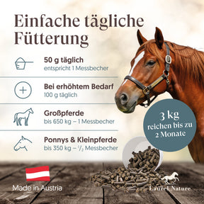 Essential No.4 Kräftige Muskeln + 3er Set Futterbox gratis