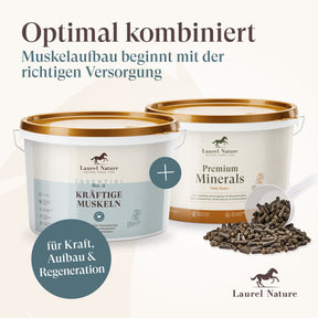 Essential No.4 Kräftige Muskeln + 3er Set Futterbox gratis