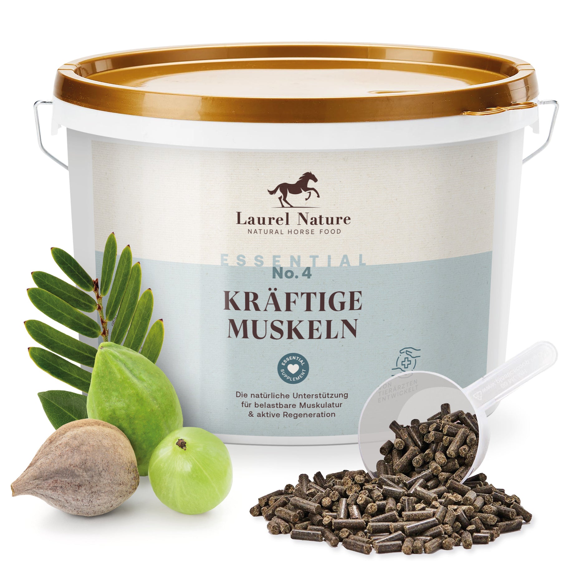 Essential No. 4 Kräftige Muskeln