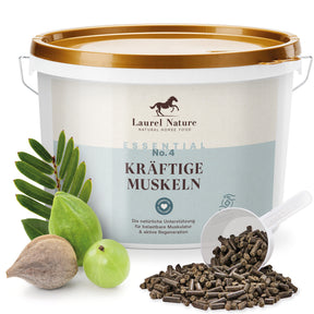 Essential No. 4 Kräftige Muskeln