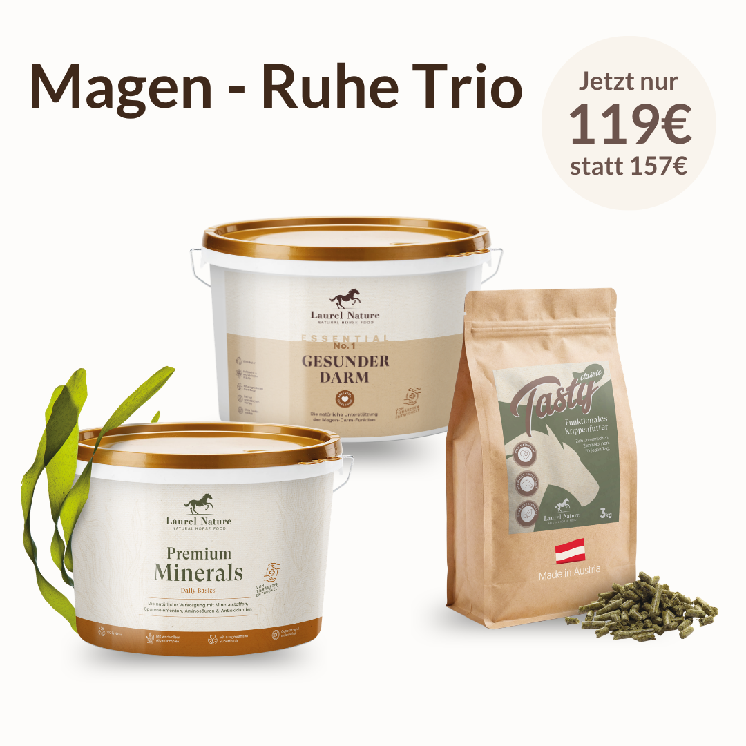 Magen-Ruhe-Trio