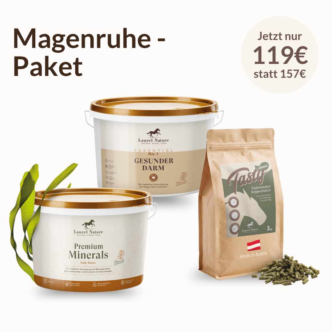 Magen-Ruhe-Paket
