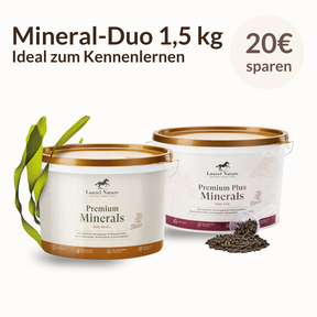 Mineral-Duo (Eimer 1,5 kg)
