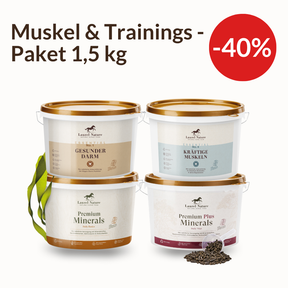 Muskel & Trainings- Paket