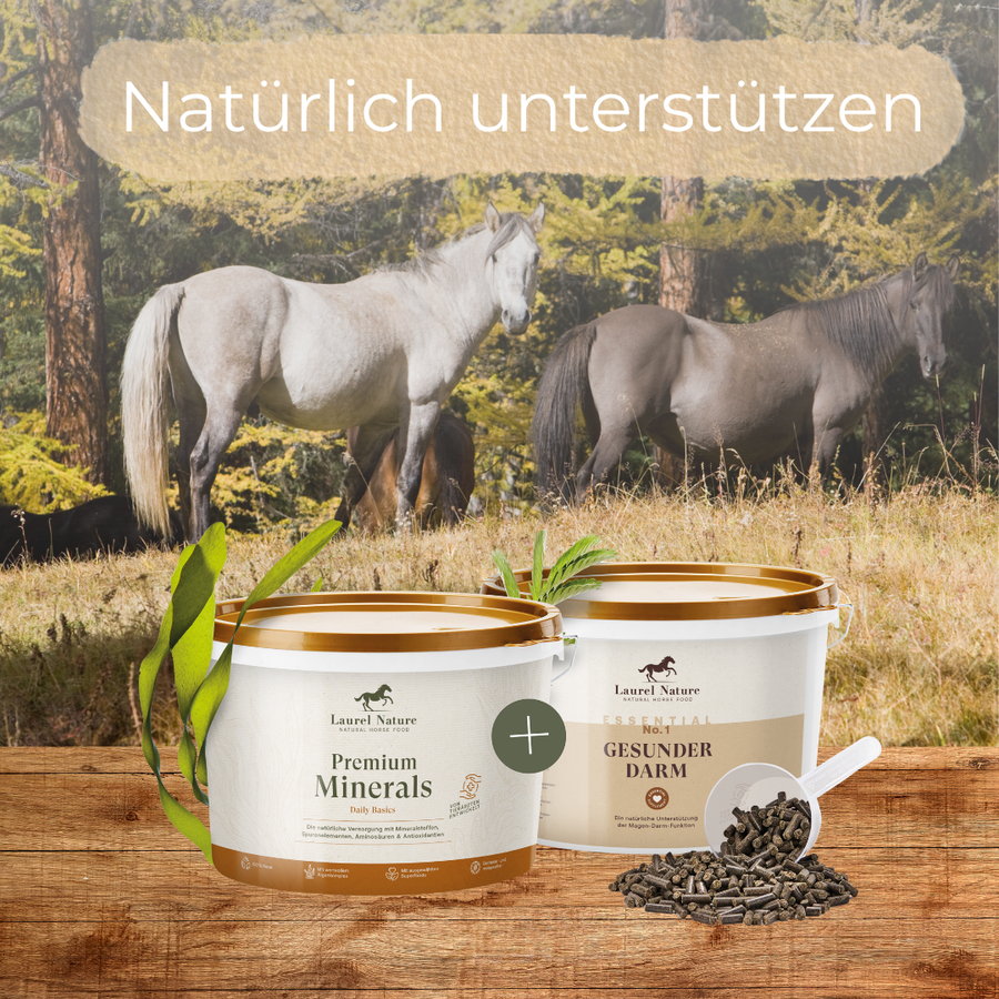 Bewährt. Natürlich. Für Pferde mit Verdauungsproblemen.