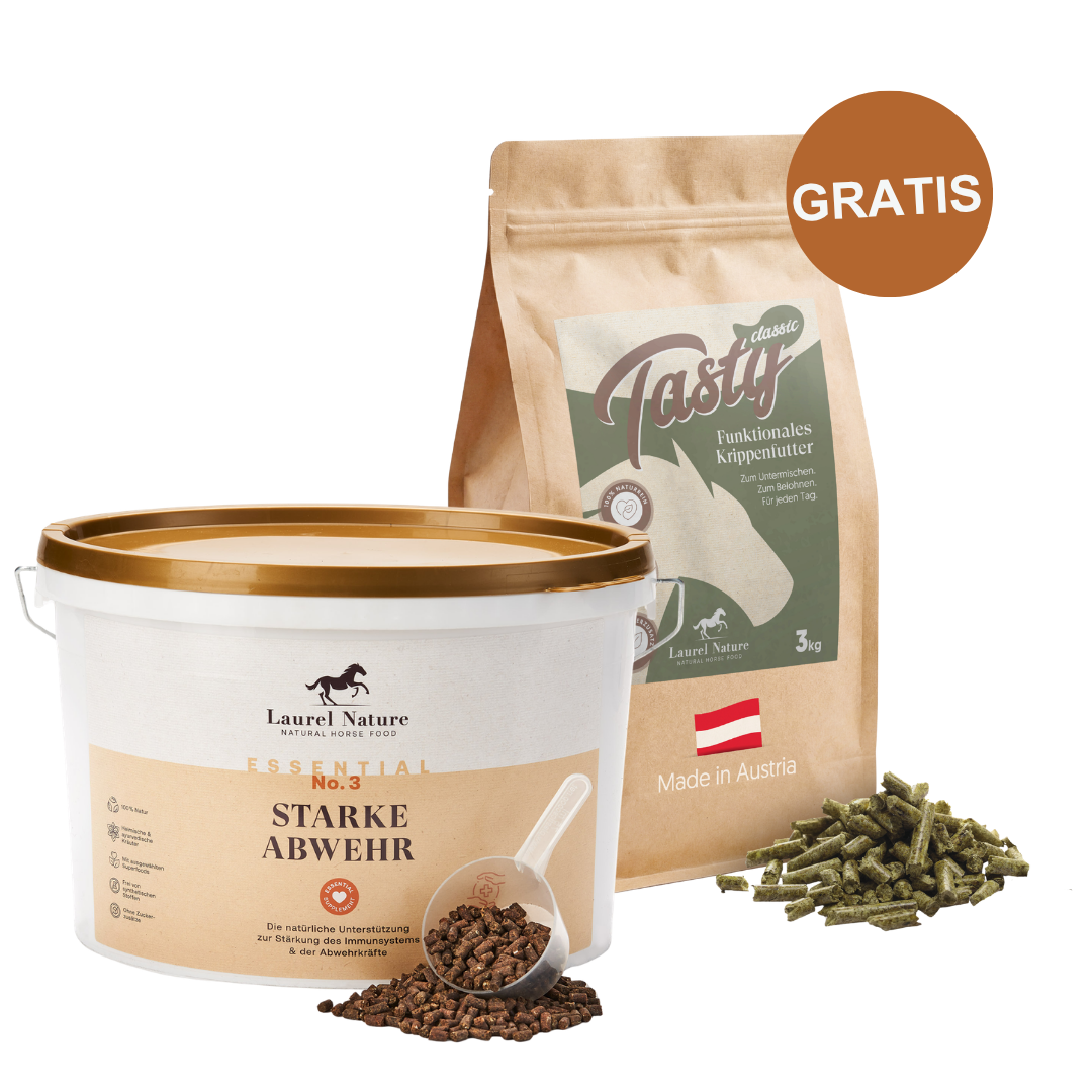Essential No.3 + 3kg Tasty Classic gratis