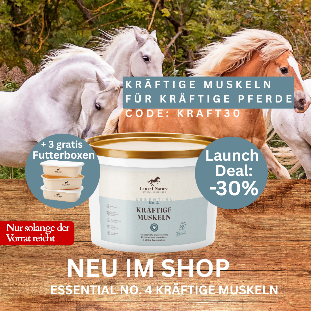 Essential No.4 Kräftige Muskeln + 3er Set Futterbox gratis