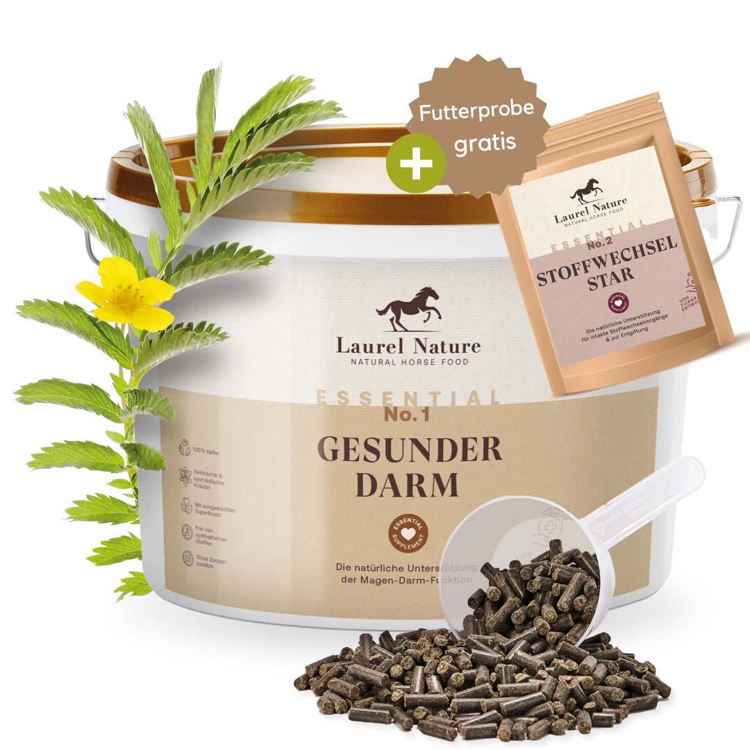 Gesunder Darm + Gratis Futterprobe Stoffwechsel Star
