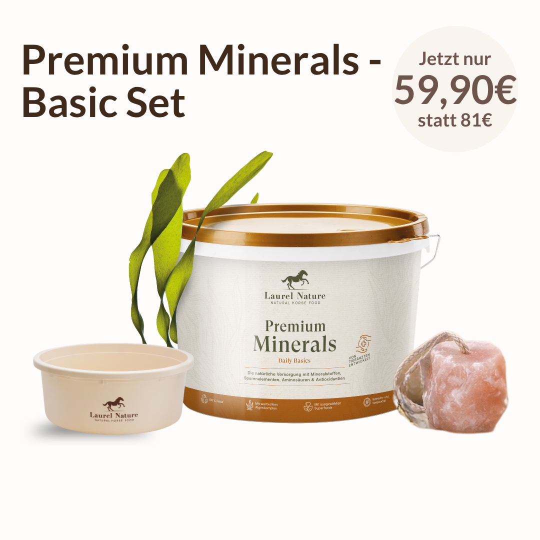 Premium Minerals Basic Set