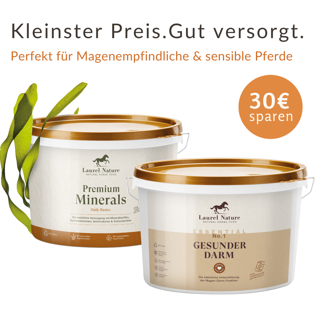 Magen-Darmwohl-Duo 1,5kg