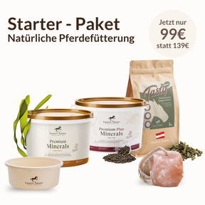 Starter-Paket