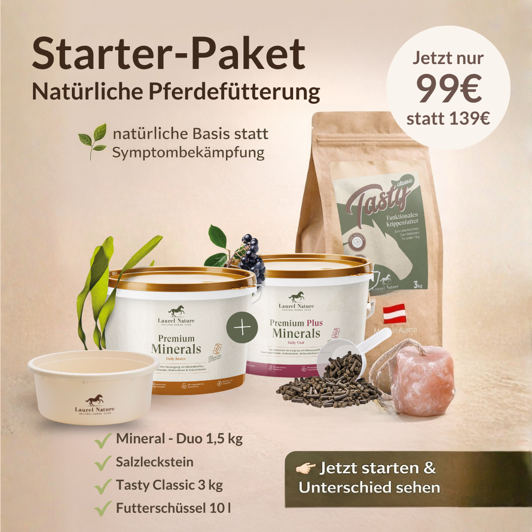 Starter-Paket