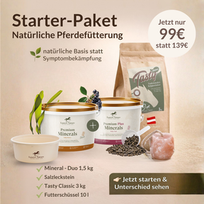 Starter-Paket