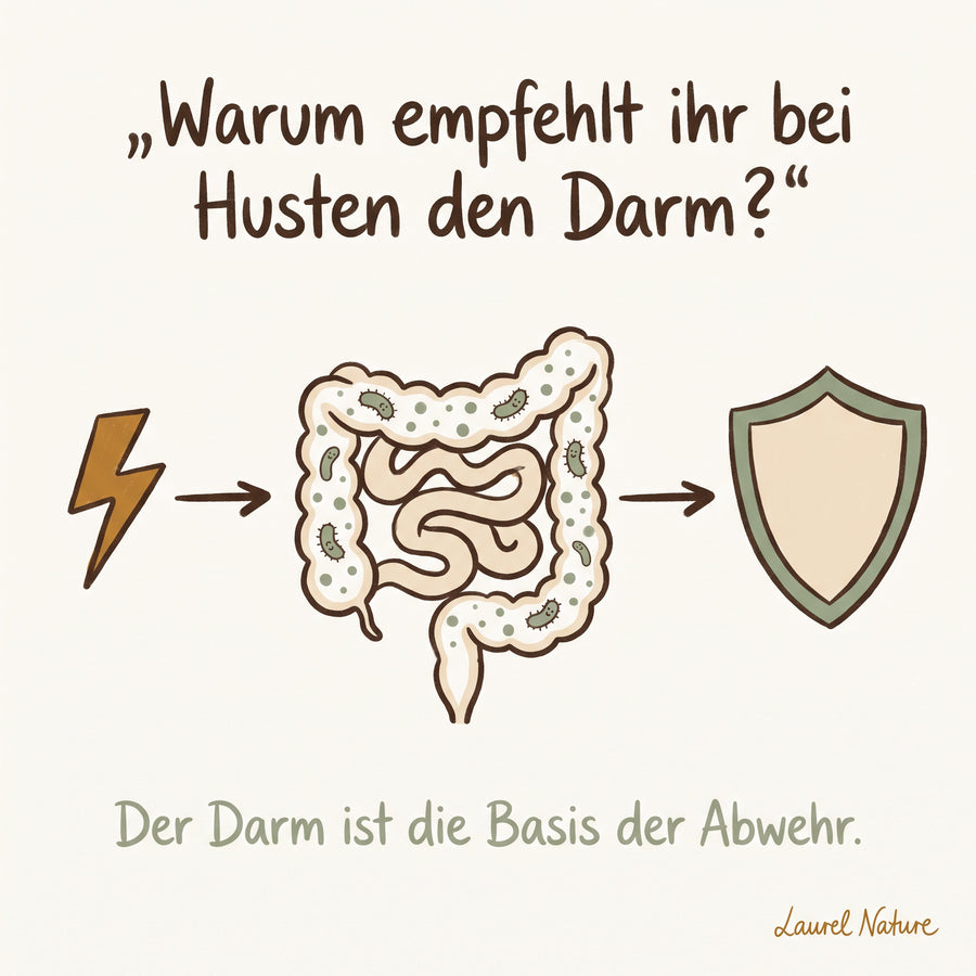 Der Darm ist die Basis. Ohne stabile Darmflora fehlt der Abwehr das Fundament.